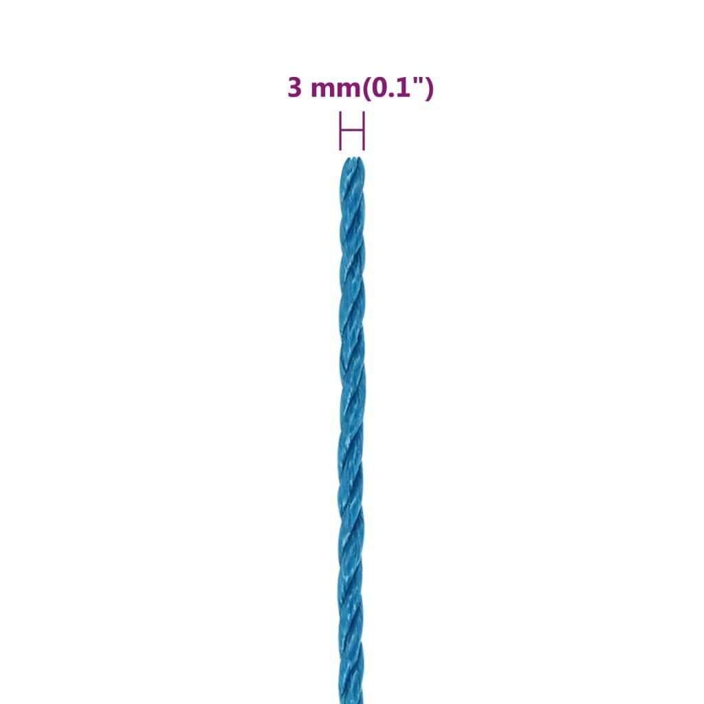 Darbo virvė VidaXL, 3 mm, 500 m, mėlyna kaina ir informacija | Sodo įrankiai | pigu.lt
