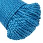 Darbo virvė VidaXL, 3 mm, 500 m, mėlyna kaina ir informacija | Sodo įrankiai | pigu.lt