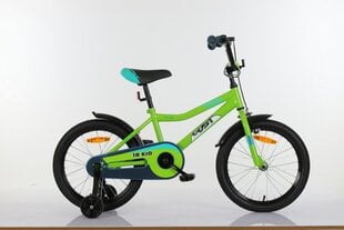 Vaikiškas dviratis Gust Raser 18'', žalios spalvos kaina ir informacija | Dviračiai | pigu.lt