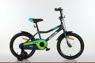 Vaikiškas dviratis Gust Raser 18'', pilkos spalvos kaina ir informacija | Dviračiai | pigu.lt