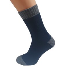 Мужские хлопковые носки, синие цена и информация | Мужские носки | pigu.lt