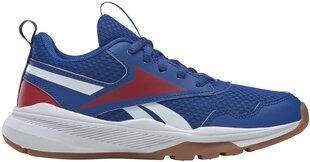 Мужские кроссовки Reebok Xt Sprinter Blue GW1221 GW1221/13.5K цена и информация | Детская спортивная обувь | pigu.lt