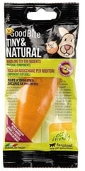 Kramtukas graužikams Ferplast GoodBite Tiny & Natural Carrot, 45 g цена и информация | Клетки и аксессуары для грызунов | pigu.lt