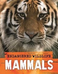 Endangered wildlife kaina ir informacija | Knygos paaugliams ir jaunimui | pigu.lt