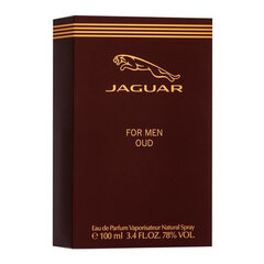 Jaguar Oud For Men Eau de Parfum для мужчин 100 мл цена и информация | Мужские духи | pigu.lt