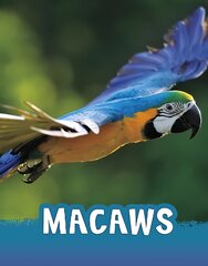 Macaws цена и информация | Книги для подростков и молодежи | pigu.lt