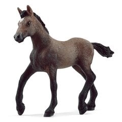 Figurėlė Paso Peruano veislės kumeliukas Schleich Horse Club kaina ir informacija | Žaislai berniukams | pigu.lt