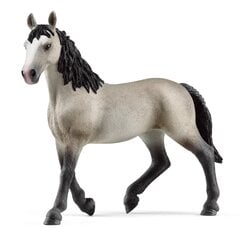 Figurėlė Cheval de Selle Francais veislės kumelė Schleich Horse Club kaina ir informacija | Žaislai berniukams | pigu.lt