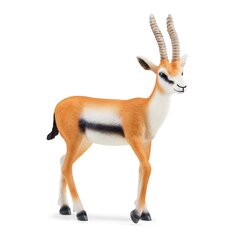 Фигурка Газель Томсона Schleich Wild Life цена и информация | Игрушки для мальчиков | pigu.lt