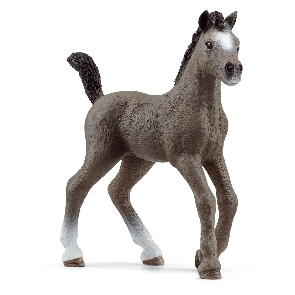 Figurėlė Cheval de Selle Francais veislės kumeliukas Schleich Horse Club kaina ir informacija | Žaislai berniukams | pigu.lt