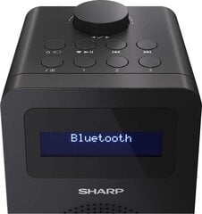 SHARP DR-430 цена и информация | Радиоприемники и будильники | pigu.lt