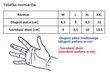 Dviračio pirštinės Vivo SB-02-1582-E, juodos kaina ir informacija | Dviratininkų pirštinės | pigu.lt