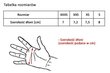Dviratininkų pirštinės Gloves Vivo, įvairių spalvų цена и информация | Dviratininkų pirštinės | pigu.lt