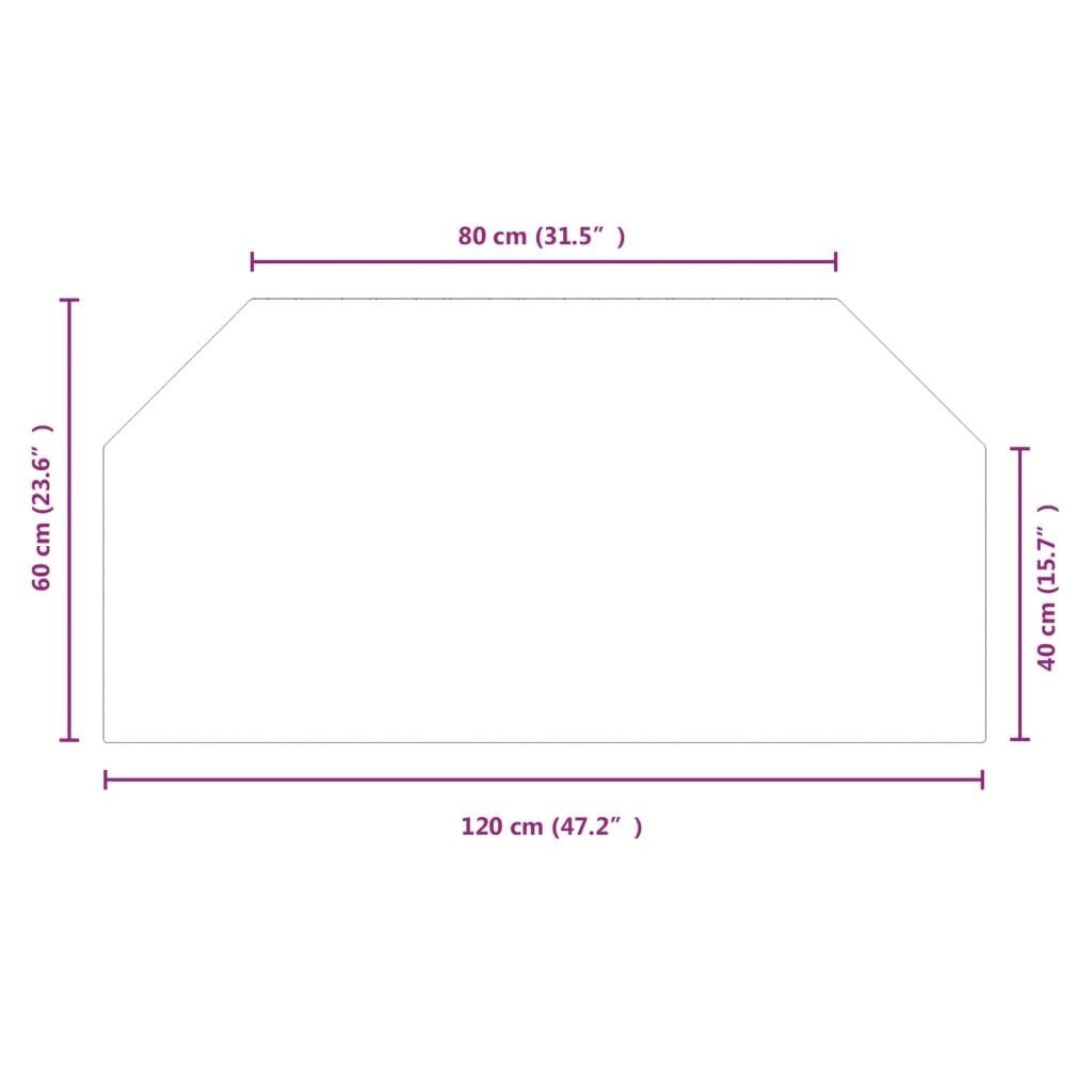 Židinio stiklo plokštė vidaXL, 120x60 cm. kaina ir informacija | Priedai šildymo įrangai | pigu.lt