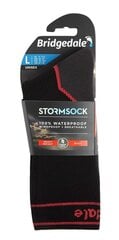 StormSock Heavy Boot - black/red 65970-964 цена и информация | Женские носки | pigu.lt