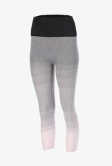 Gatta Leggins Runner Women grey 75604-372 цена и информация | Спортивная одежда для женщин | pigu.lt