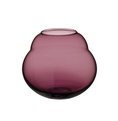 Villeroy & Boch ваза Jolie Mauve 17см цена и информация | Вазы | pigu.lt