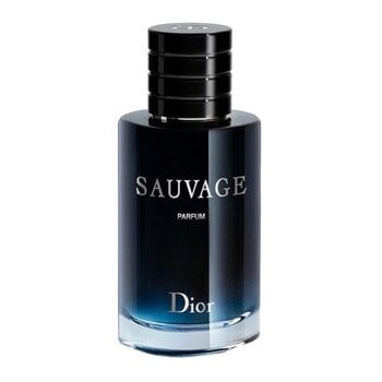 Tualetinis vanduo Dior Sauvage PP vyrams, 100 ml kaina ir informacija | Kvepalai vyrams | pigu.lt