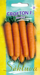 Морковь Crofton F1 цена и информация | Семена овощей, ягод | pigu.lt