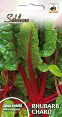 Lapiniai burokėliai Rhubarb Chard kaina ir informacija | Daržovių, uogų sėklos | pigu.lt