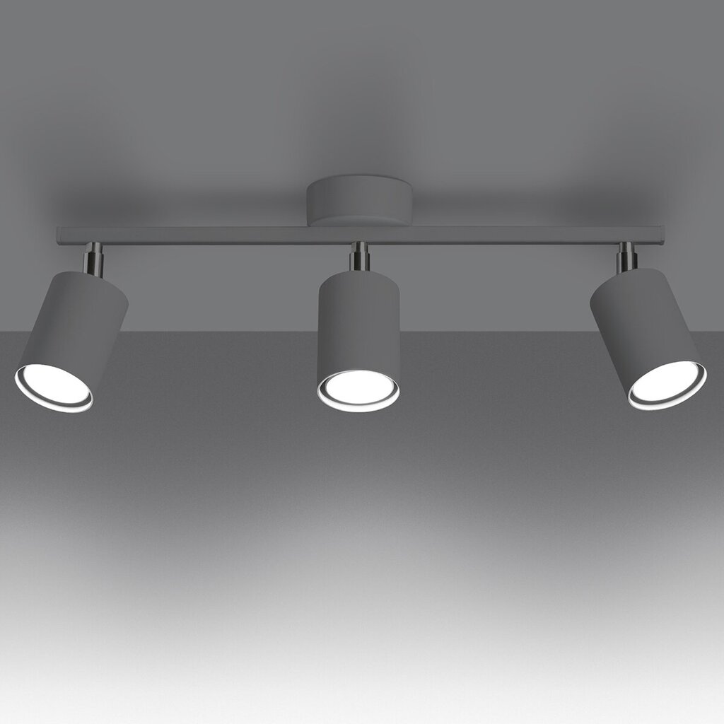 Sollux lubinis šviestuvas Lemmi kaina ir informacija | Lubiniai šviestuvai | pigu.lt