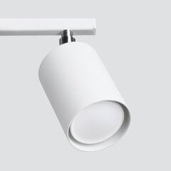Потолочный светильник Lemmi цена и информация | Потолочные светильники | pigu.lt