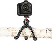 Joby GorillaPod 5K Kit, juoda/pilka kaina ir informacija | Fotoaparato stovai | pigu.lt