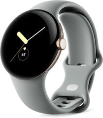 Pixel Watch LTE, Gold/Hazel цена и информация | Смарт-часы (smartwatch) | pigu.lt