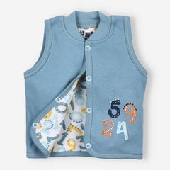 Liemenė berniukams Nini kaina ir informacija | Megztiniai, bluzonai, švarkai kūdikiams | pigu.lt
