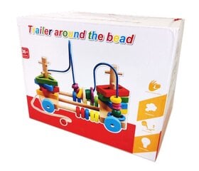 Medinis labirintas su galvosūkiais kaina ir informacija | Lavinamieji žaislai | pigu.lt