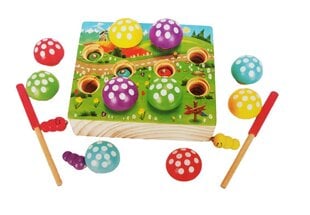 Medinis žaidimas Grybai ir magnetiniai kirminai цена и информация | Развивающие игрушки | pigu.lt