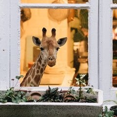 Виниловая наклейка на стену или окно с жирафом Декор детской игровой комнаты - 49 х 38 см цена и информация | Интерьерные наклейки | pigu.lt