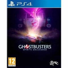 Just For Games Ghostbusters: Spirits Unleashed цена и информация | Компьютерные игры | pigu.lt