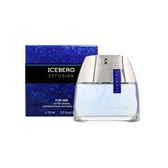 Мужские духи Iceberg EDT Effusion Man, 75 мл цена и информация | Мужские духи | pigu.lt