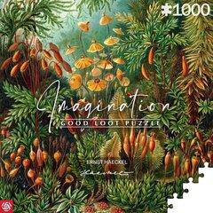 Пазл с растениями Imagination Ernst Haeckel Muscinae, 1000 д. цена и информация | Пазлы | pigu.lt