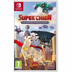 Видеоигра для Switch Bandai Krypto Super-Dog: Adventures of Krypto and Ace цена и информация | Компьютерные игры | pigu.lt