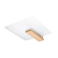 Sollux lubinis šviestuvas Lappo kaina ir informacija | Lubiniai šviestuvai | pigu.lt