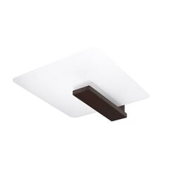 Plafond LAPPO wenge PEACH PUFF SL.1097 цена и информация | Потолочные светильники | pigu.lt