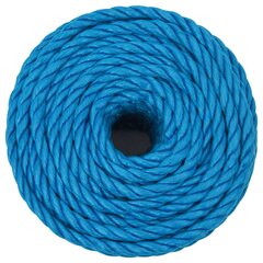 Mėlyna darbo virvė, 12mm, 50m цена и информация | Садовые инструменты | pigu.lt