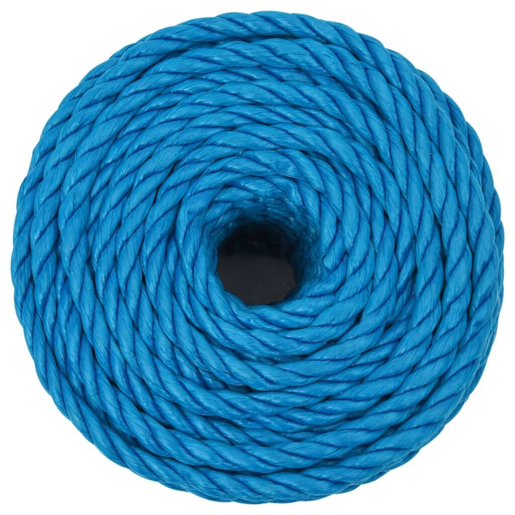 Mėlyna darbo virvė, 12mm, 50m цена и информация | Sodo įrankiai | pigu.lt