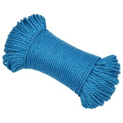 Mėlyna darbo virvė, 6mm, 25m kaina ir informacija | Sodo įrankiai | pigu.lt