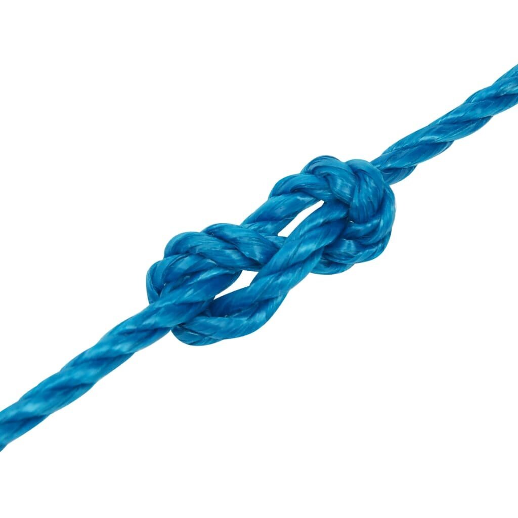 Mėlyna darbo virvė, 3mm, 250m цена и информация | Sodo įrankiai | pigu.lt