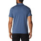 Polo marškinėliai vyrams Columbia, mėlyni kaina ir informacija | Vyriški marškinėliai | pigu.lt