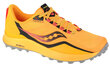Sportiniai batai vyrams Saucony Peregrine 12, geltoni kaina ir informacija | Kedai vyrams | pigu.lt