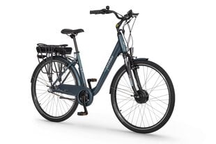 Elektrinis dviratis Ecobike Basic Nexus 17,5 Ah LG, mėlynas kaina ir informacija | Elektriniai dviračiai | pigu.lt