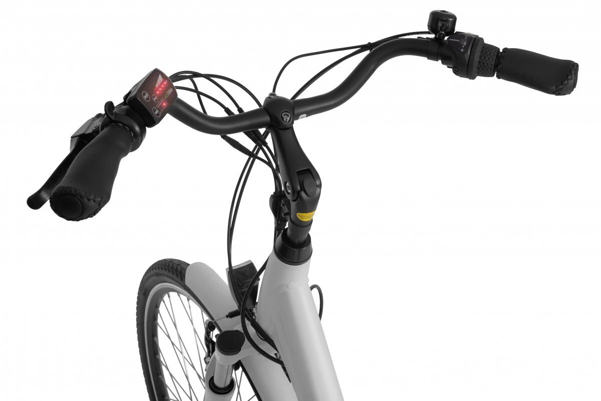 Elektrinis dviratis Ecobike Basic Nexus 8,7 Ah Greenway, baltas kaina ir informacija | Elektriniai dviračiai | pigu.lt