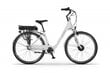 Elektrinis dviratis Ecobike Basic Nexus 11,6 Ah Greenway, baltas kaina ir informacija | Elektriniai dviračiai | pigu.lt