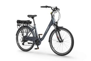 Elektrinis dviratis Ecobike Traffic 13 Ah Greenway, mėlynas kaina ir informacija | Elektriniai dviračiai | pigu.lt