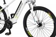 Elektrinis dviratis Ecobike SX3 13 Ah Greenway, baltas kaina ir informacija | Elektriniai dviračiai | pigu.lt