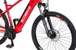 Elektrinis dviratis Ecobike SX4 17,5 Ah LG, raudonas kaina ir informacija | Elektriniai dviračiai | pigu.lt